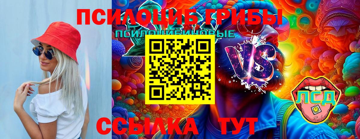 Псилоцибиновые грибы прущие грибы Красноярск