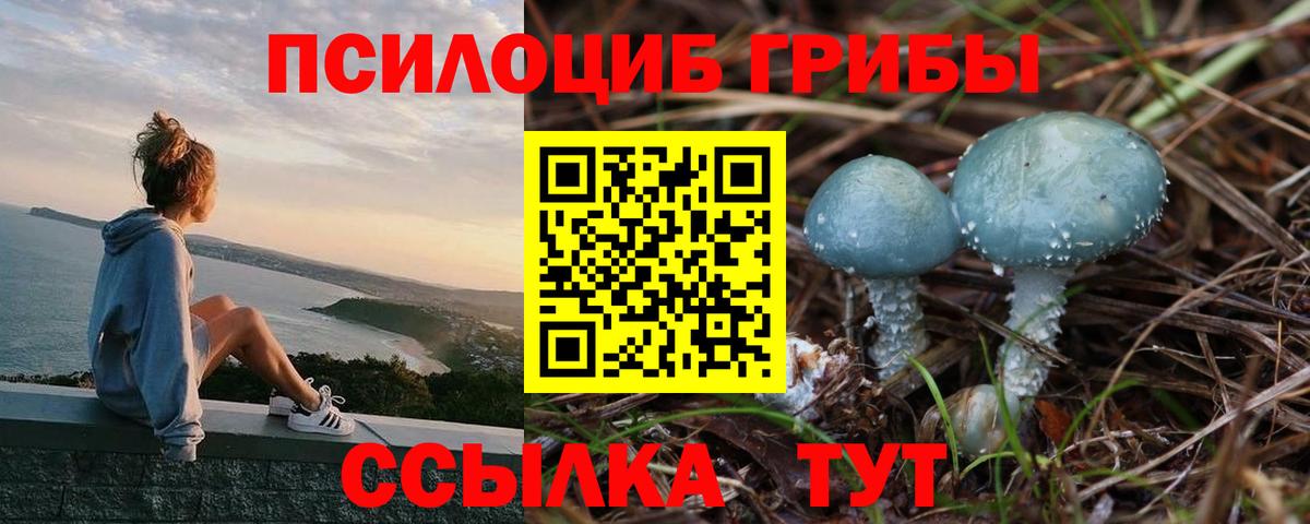 Красноярск  где найти   Псилоцибиновые грибы Psilocybe  Вход с VPN  Псилоцибиновые грибы GOLDEN TEACHER 